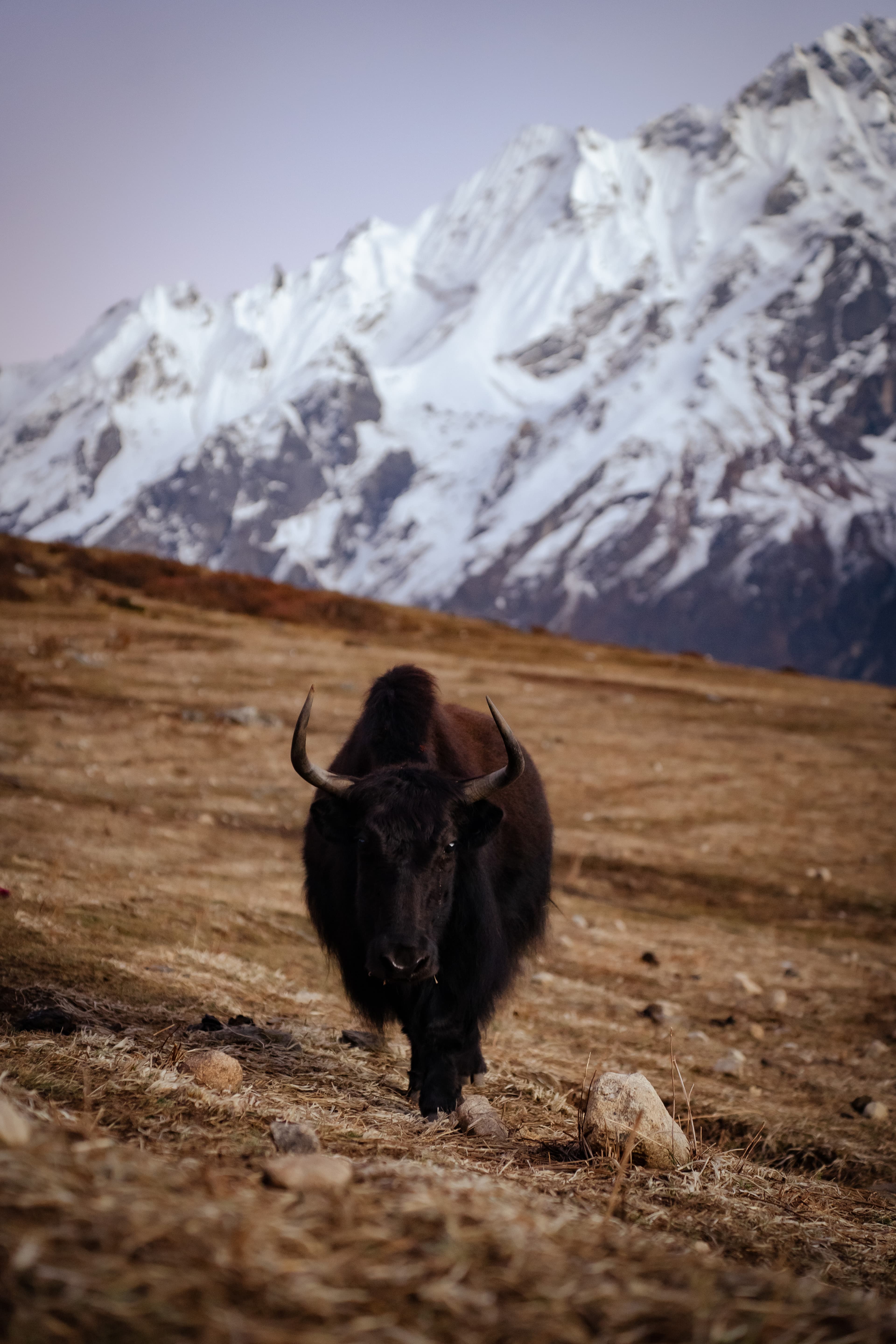 Traditional life amid extreme altitudes