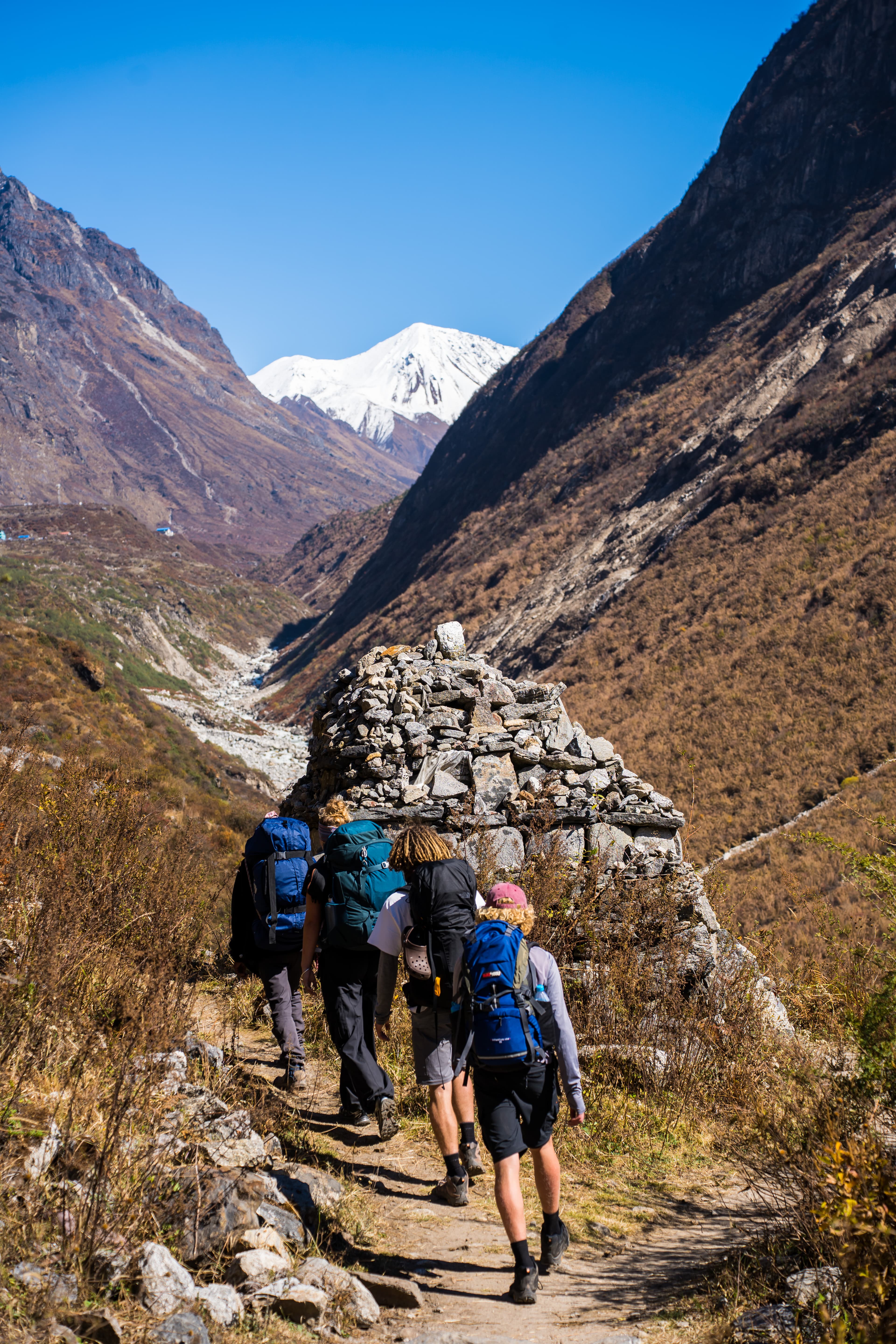 Majestic moment beneath a snow-capped Himalayan peak