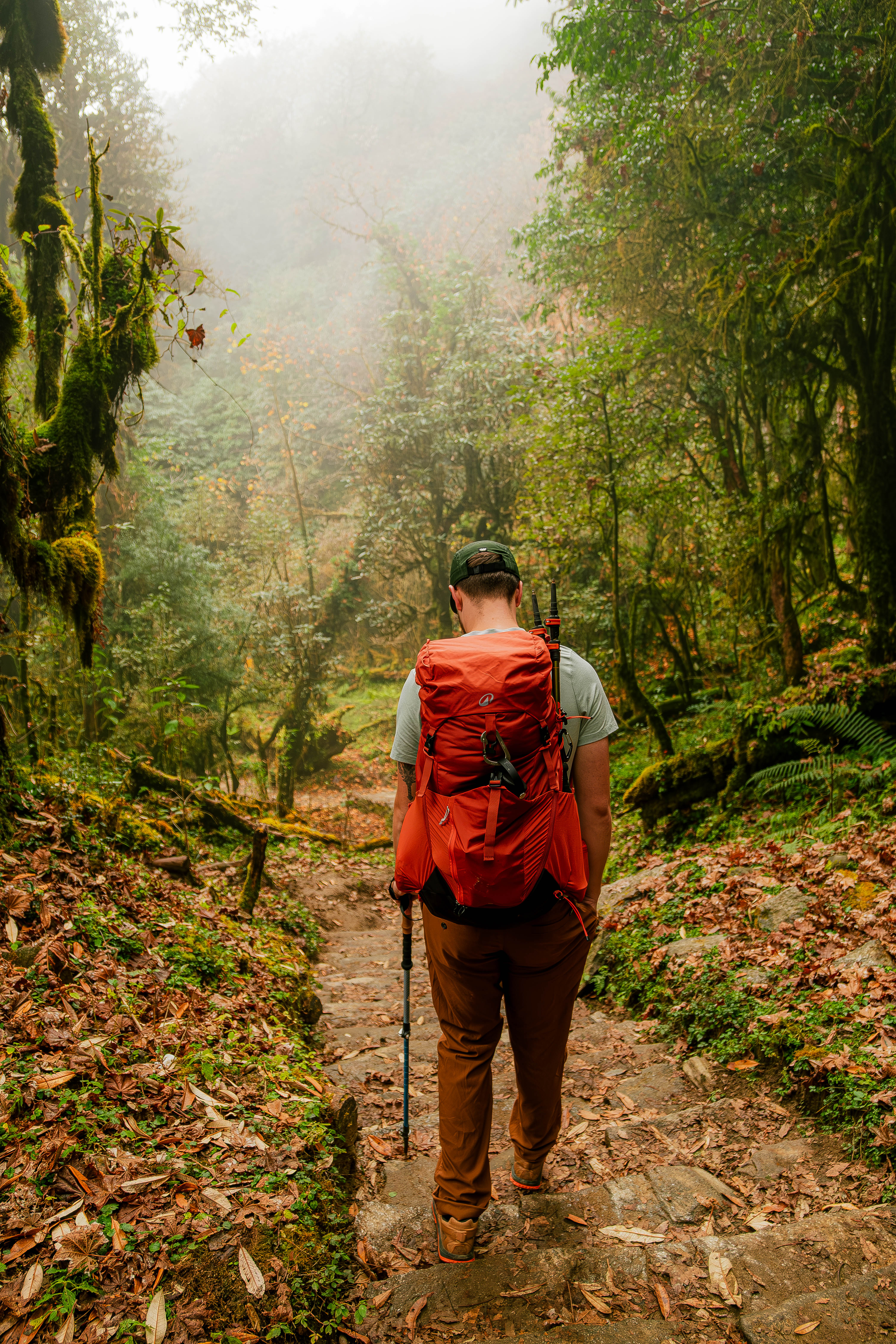 Mount Everest and Nuptse